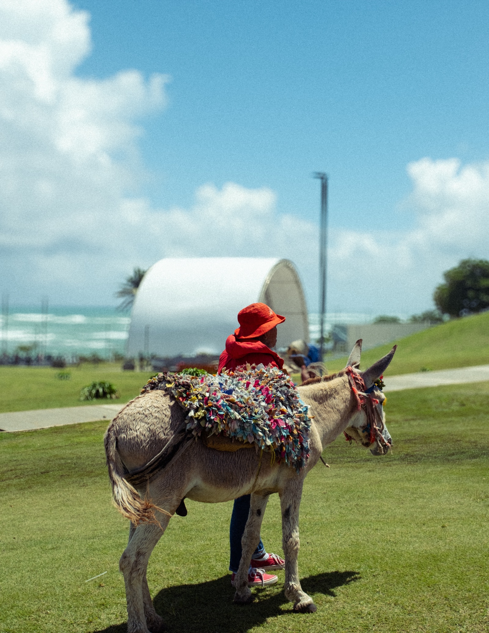 A boy in a red hat beside a decorated donkey by the sea